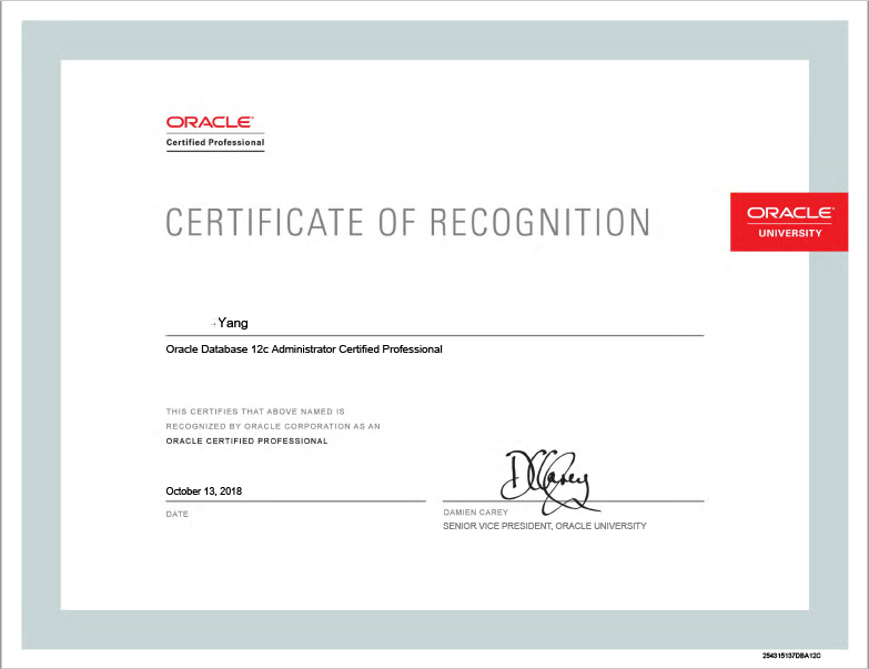                                         在行知教育参加完OCP培训后，顺利获得11g OCP证书。随后工作需要，很快升级至12c OCP。在培训中掌握扎实的数据库知识，在工作中灵活运用，未来会继续升级证书的。与此同时，我也开启了Oracle兼职讲师的斜杠生涯，活学活用。                                                                                       
